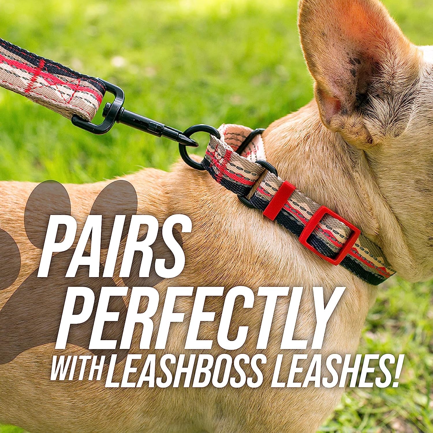 Martingale Dog Collar | Reflective Nylon Adjustable Collar for Large, Medium, and Small Dogs | No Pull Training Collar with Quick Release Buckle