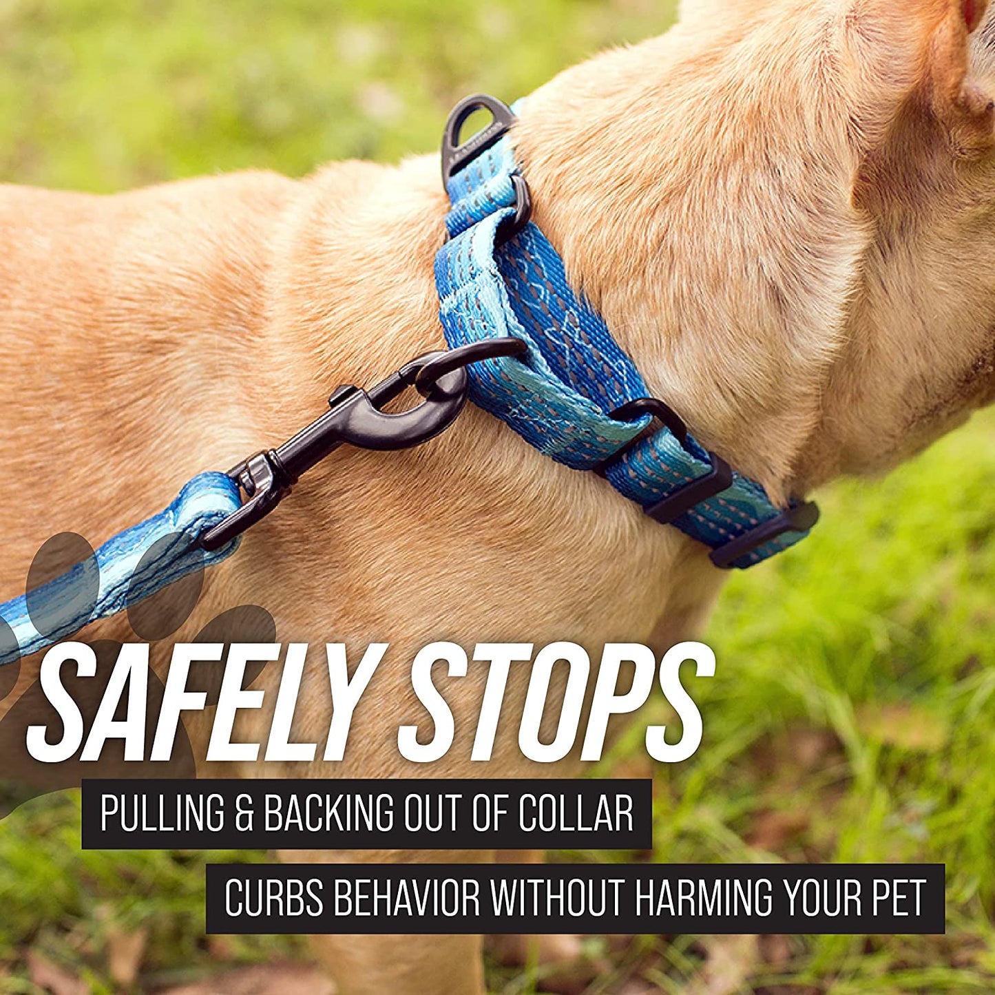 Martingale Dog Collar | Reflective Nylon Adjustable Collar for Large, Medium, and Small Dogs | No Pull Training Collar with Quick Release Buckle