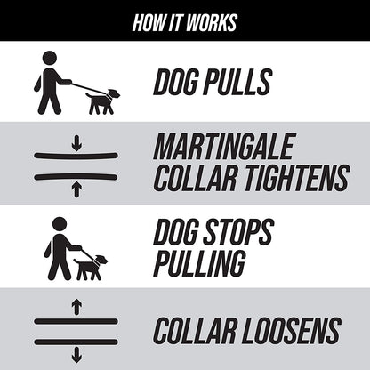 Martingale Dog Collar | Reflective Nylon Adjustable Collar for Large, Medium, and Small Dogs | No Pull Training Collar with Quick Release Buckle