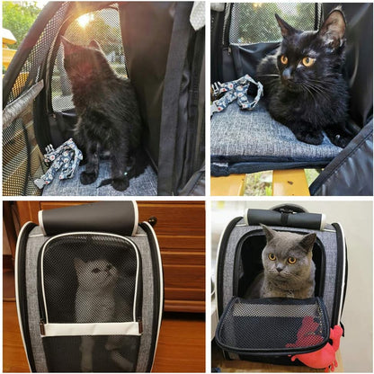Innovative Bubble Backpack Pet Carriers for Cats and Dogs