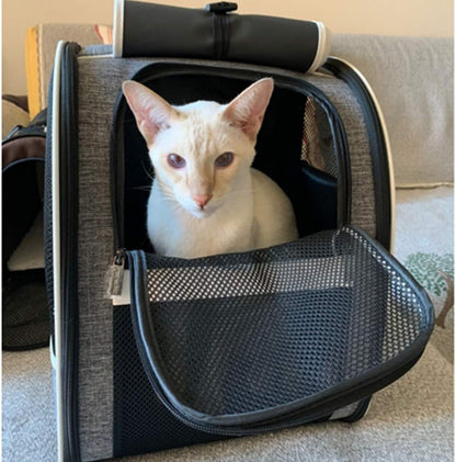 Innovative Bubble Backpack Pet Carriers for Cats and Dogs